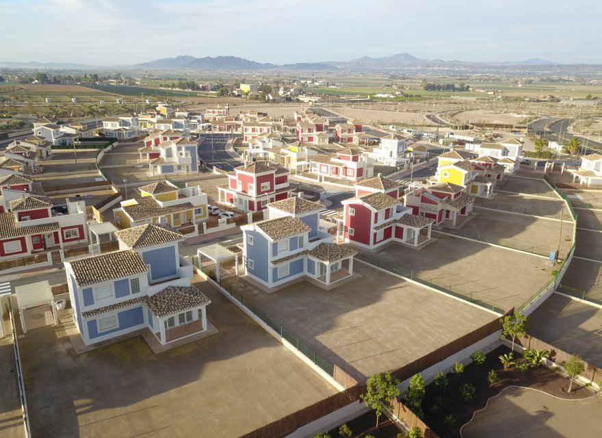 Obra nueva - Villa - Lorca - Purias