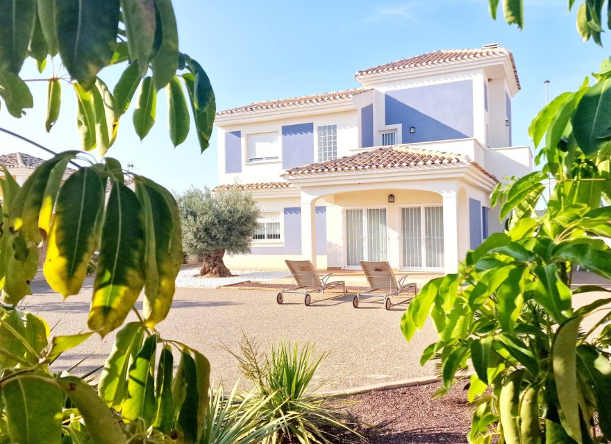 Obra nueva - Villa - Lorca - Purias