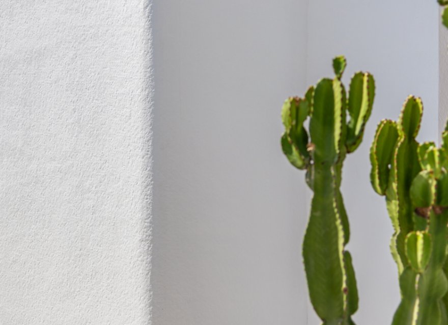 Obra nueva - Villa - Los Alcazares