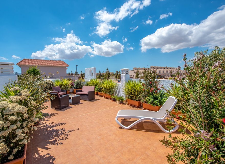 Obra nueva - Villa - Los Alcazares