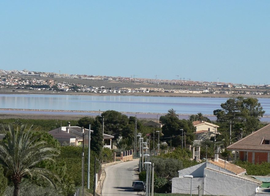 Obra nueva - Villa - Los Montesinos - La Herrada