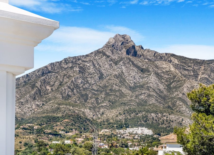 Obra nueva - Villa - Marbella