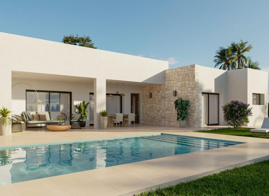 Obra nueva - Villa - Monforte del Cid - Poligono 19