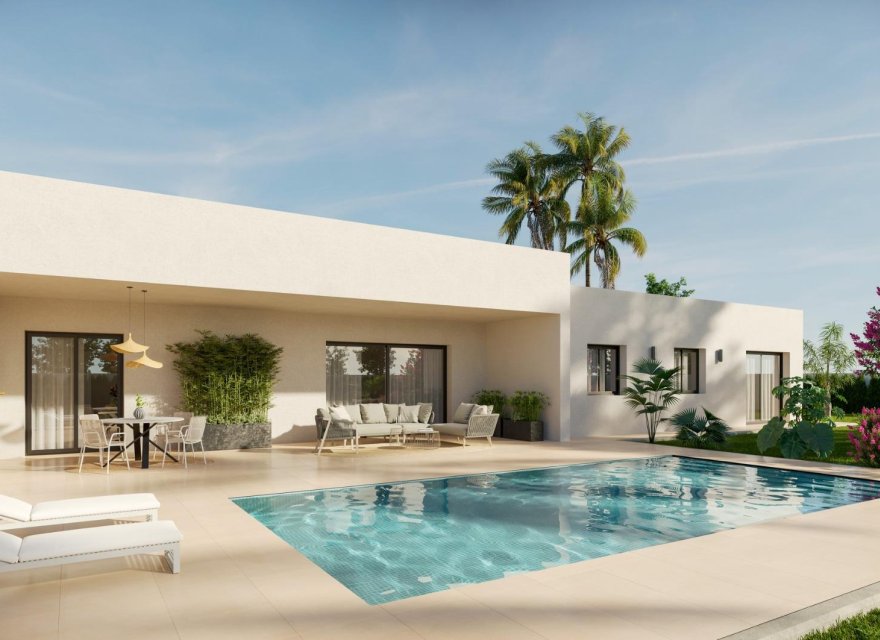 Obra nueva - Villa - Monforte del Cid - Poligono 19