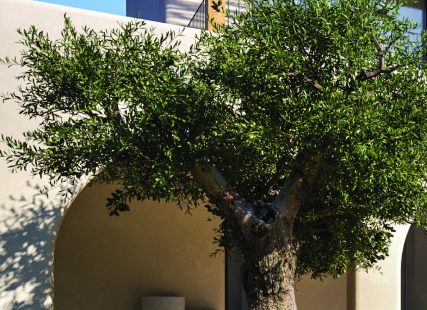 Obra nueva - Villa - Moraira