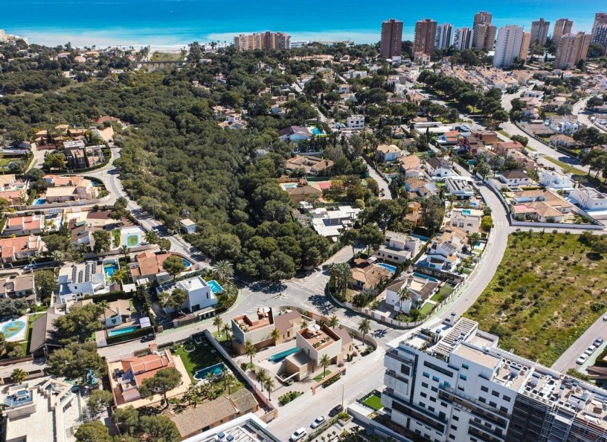 Obra nueva - Villa - Orihuela Costa - Dehesa de campoamor