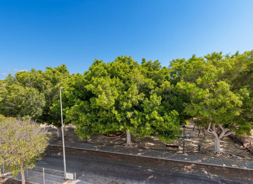 Obra nueva - Villa - Pilar de la Horadada