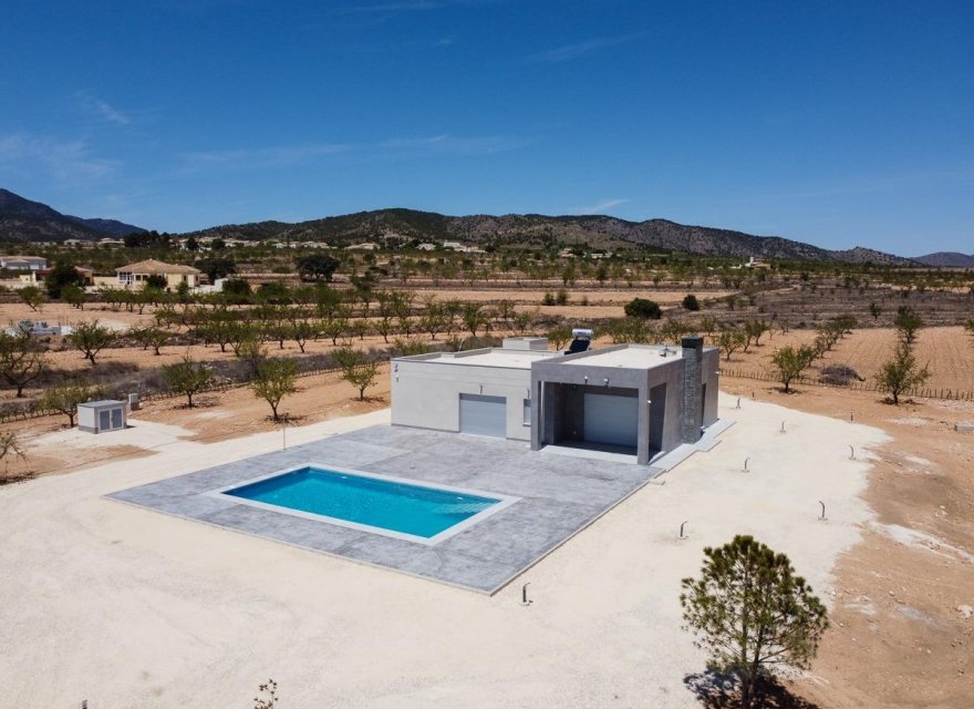 Obra nueva - Villa - Pinoso - Camino Del Prado