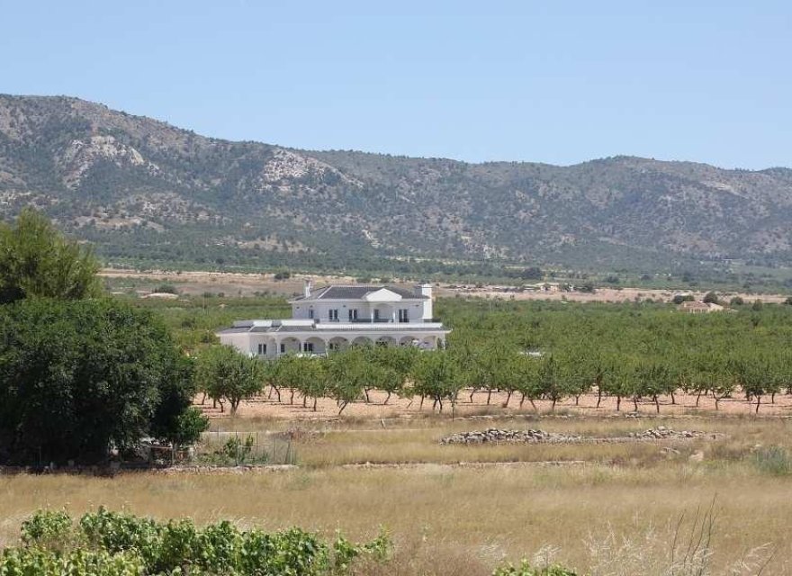 Obra nueva - Villa - Pinoso - Camino Del Prado