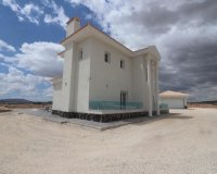 Obra nueva - Villa - Pinoso - Camino Del Prado