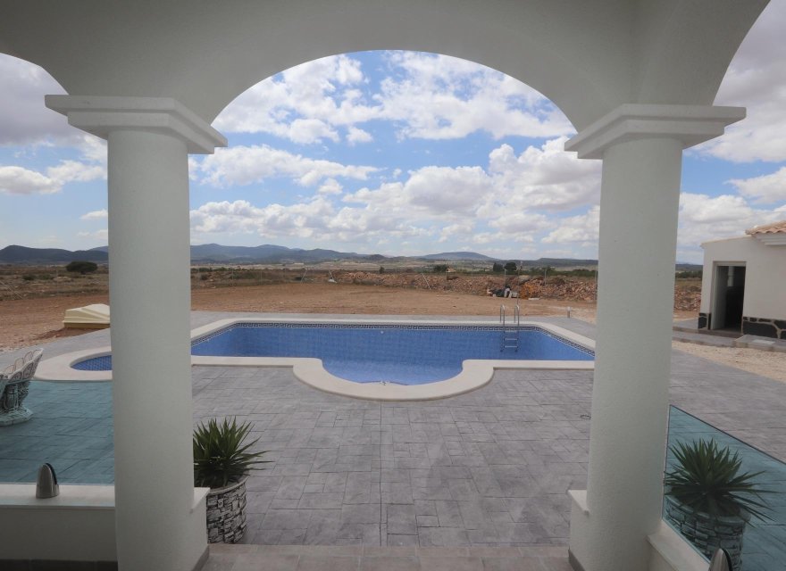 Obra nueva - Villa - Pinoso - Camino Del Prado