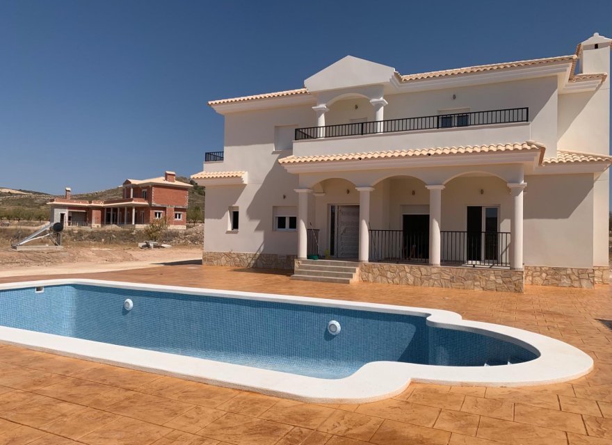 Obra nueva - Villa - Pinoso - Camino Del Prado