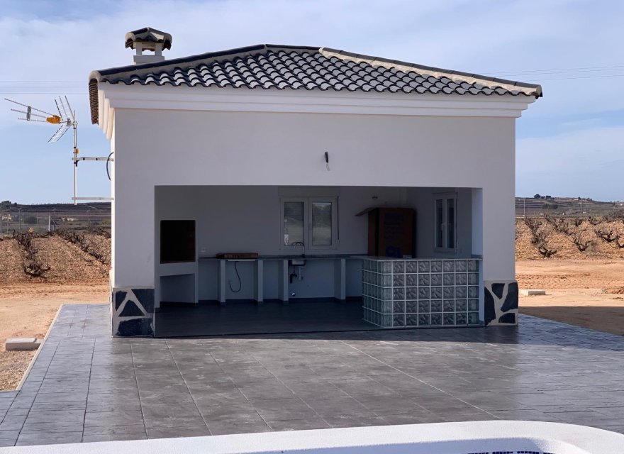 Obra nueva - Villa - Pinoso - Camino Del Prado