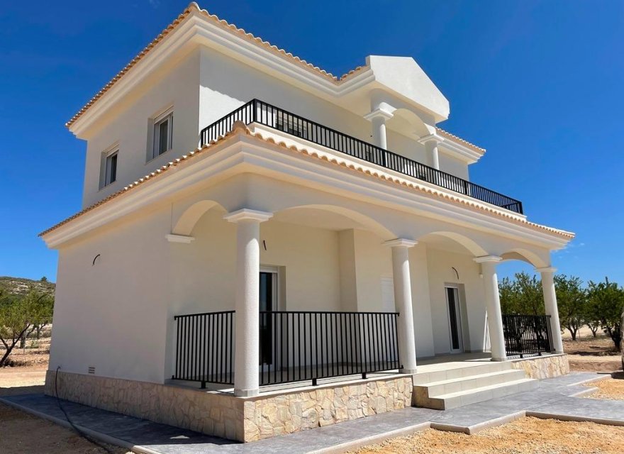 Obra nueva - Villa - Pinoso - Camino Del Prado