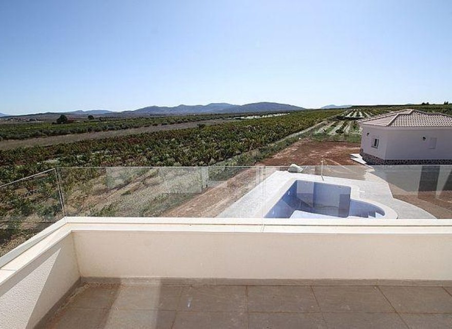 Obra nueva - Villa - Pinoso - Camino Del Prado