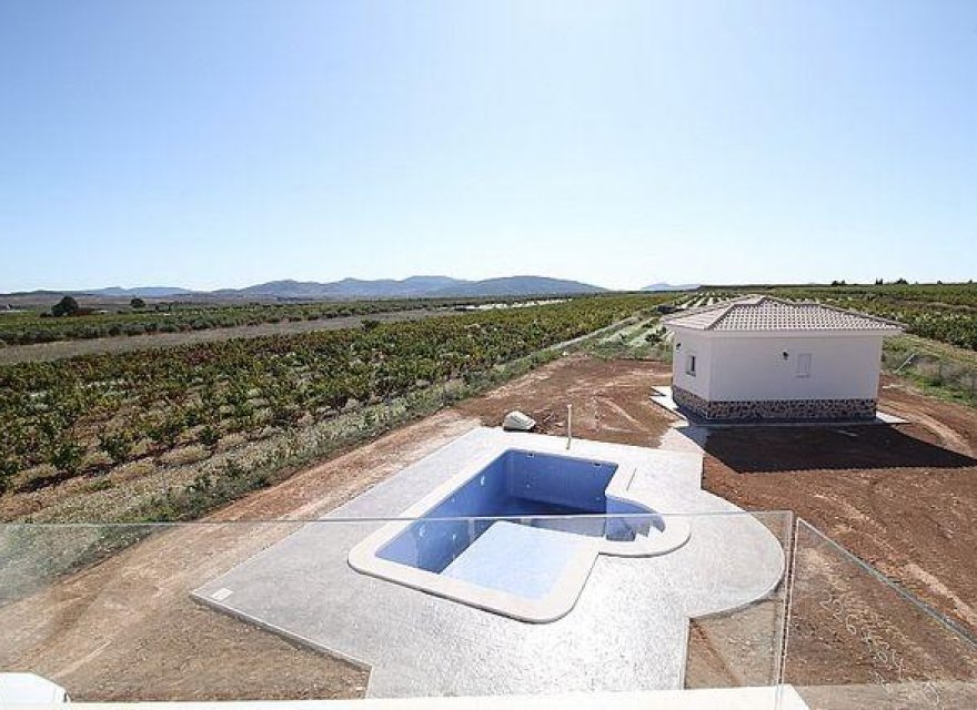 Obra nueva - Villa - Pinoso - Camino Del Prado