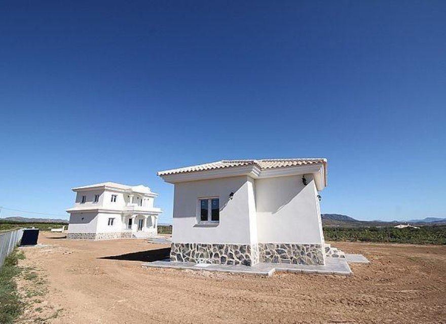 Obra nueva - Villa - Pinoso - Camino Del Prado