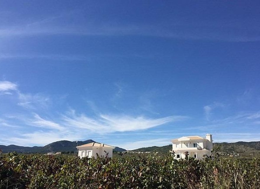 Obra nueva - Villa - Pinoso - Camino Del Prado