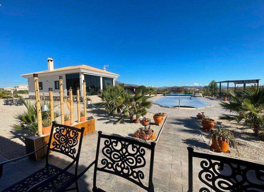 Obra nueva - Villa - Pinoso - Camino Del Prado