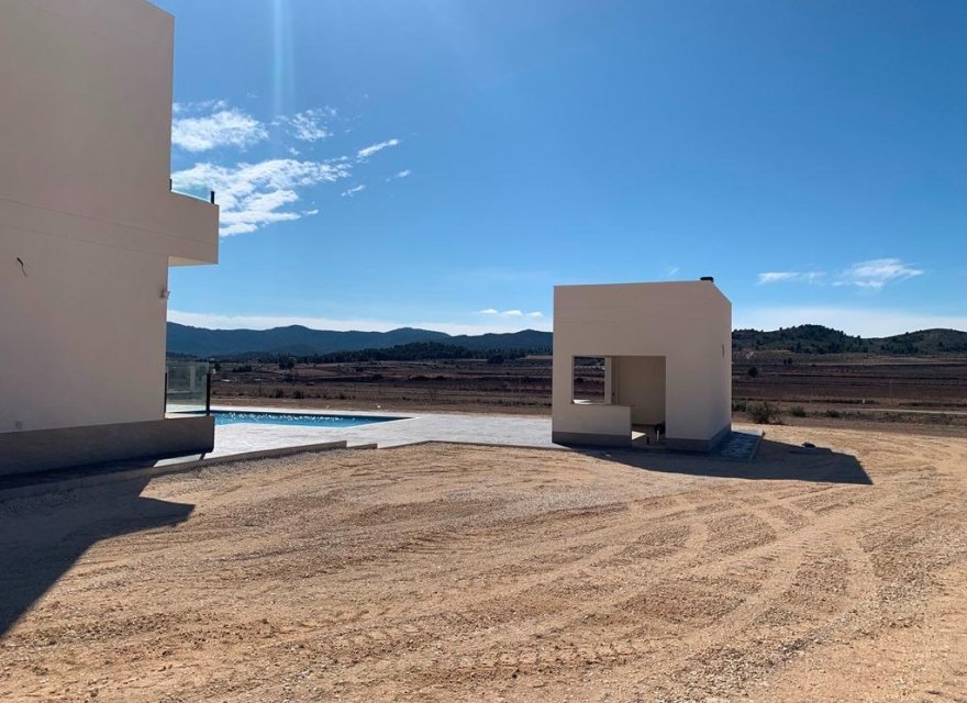 Obra nueva - Villa - Pinoso - Camino Del Prado