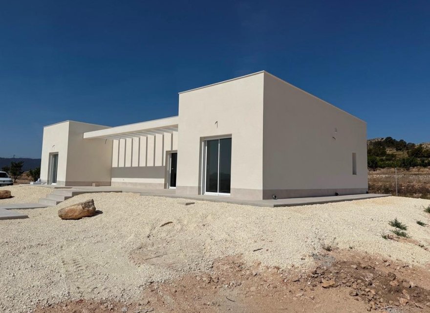 Obra nueva - Villa - Pinoso - Camino Del Prado