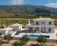 Obra nueva - Villa - Pinoso - Camino Del Prado