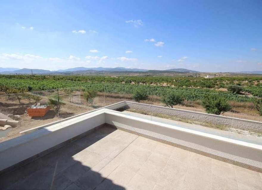 Obra nueva - Villa - Pinoso - Camino Del Prado