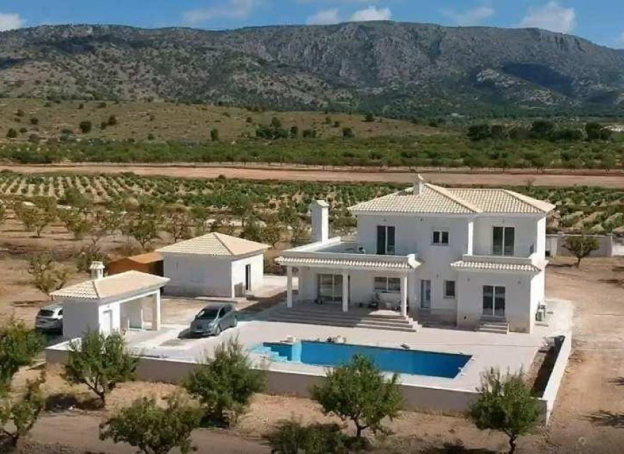 Obra nueva - Villa - Pinoso - Camino Del Prado