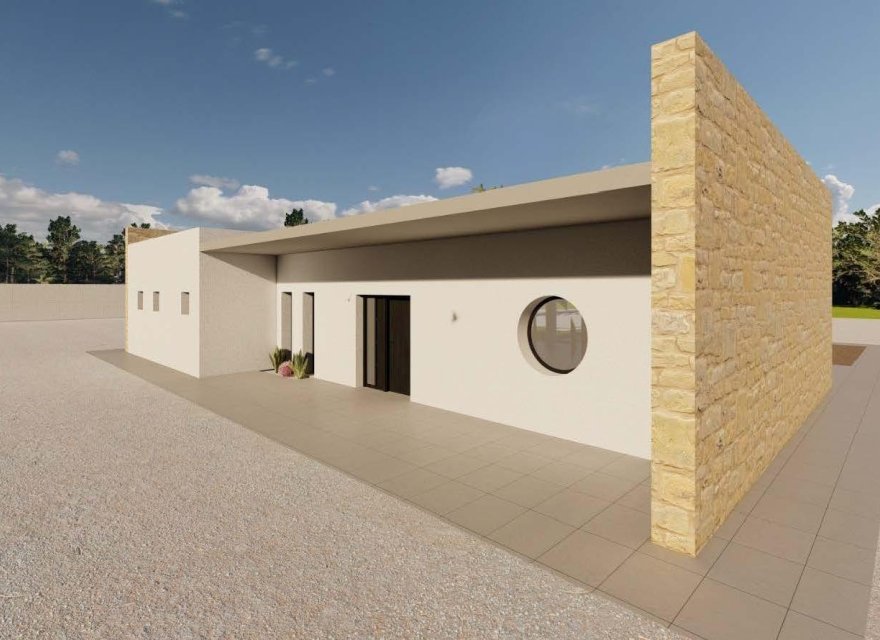 Obra nueva - Villa - Pinoso - Campo