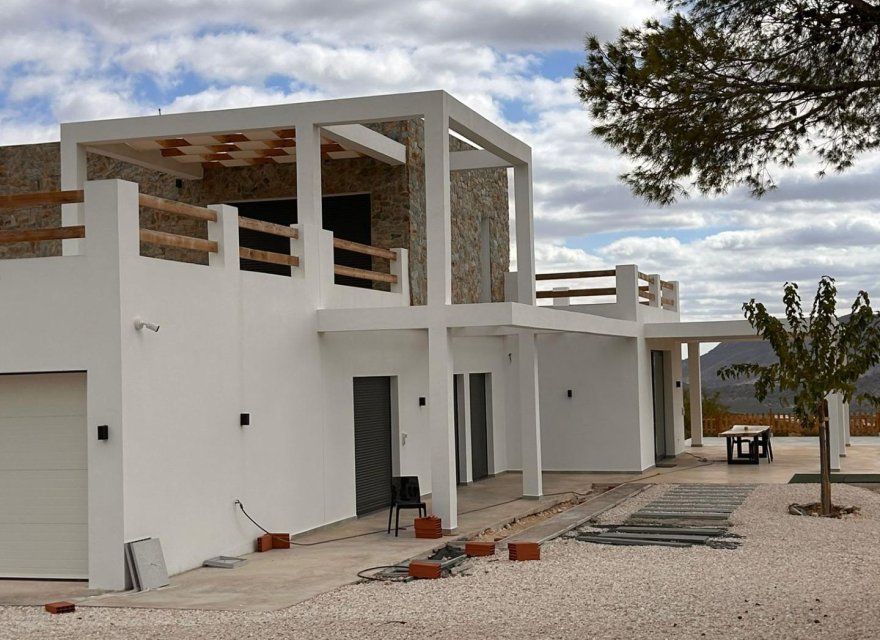 Obra nueva - Villa - Pinoso - Casas Pastor