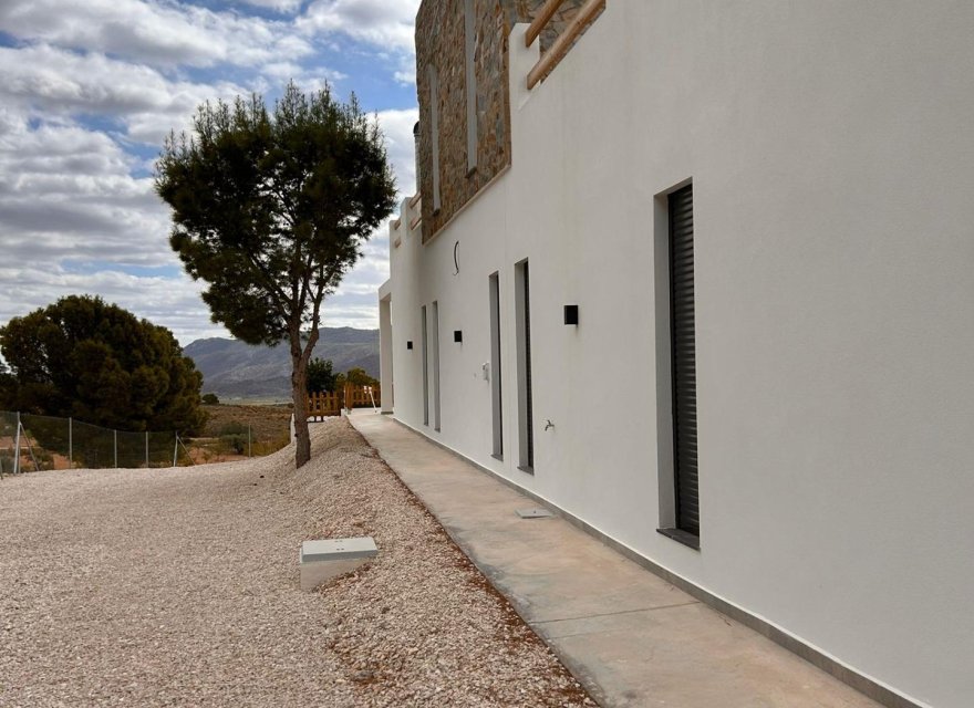 Obra nueva - Villa - Pinoso - Casas Pastor