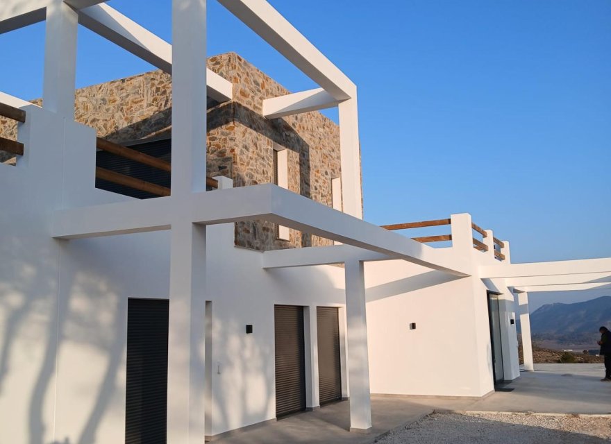 Obra nueva - Villa - Pinoso - Casas Pastor
