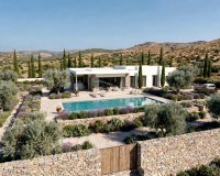 Obra nueva - Villa - Pinoso - Casas Pastor