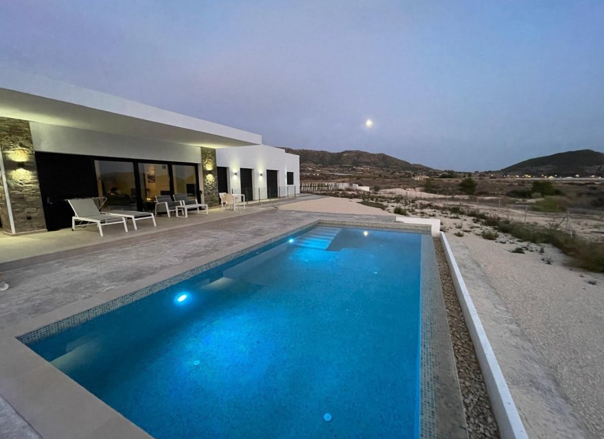 Obra nueva - Villa - Pinoso - Casas Pastor