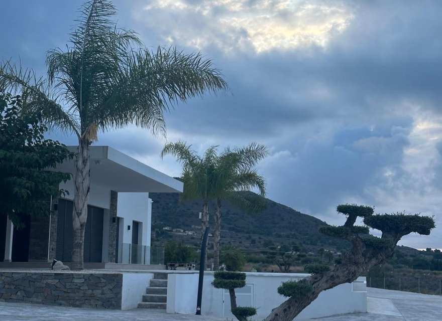 Obra nueva - Villa - Pinoso - Casas Pastor