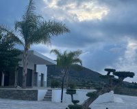 Obra nueva - Villa - Pinoso - Casas Pastor