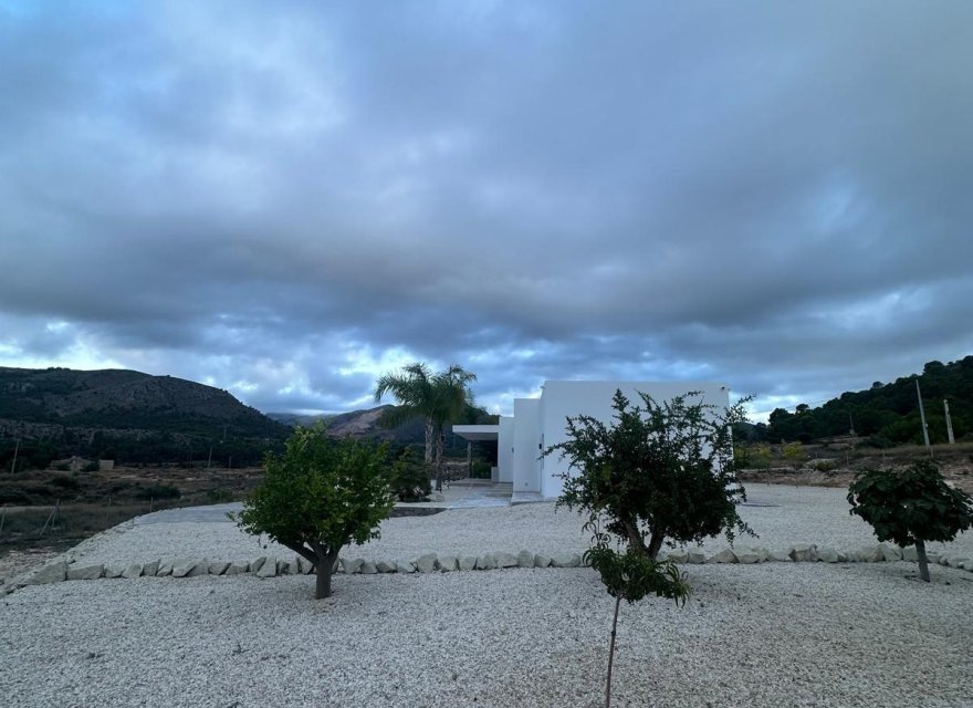 Obra nueva - Villa - Pinoso - Casas Pastor
