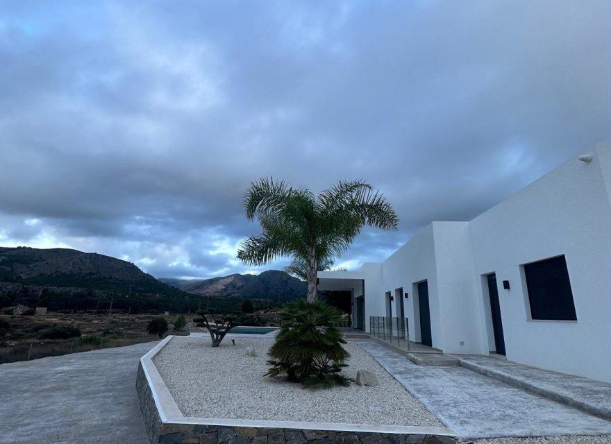 Obra nueva - Villa - Pinoso - Casas Pastor