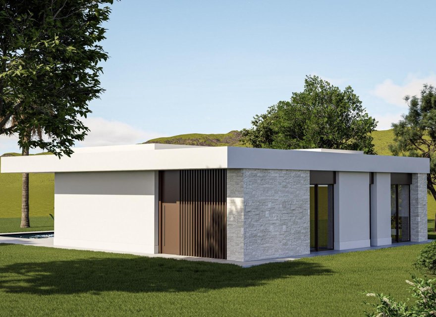 Obra nueva - Villa - Pinoso - Lel