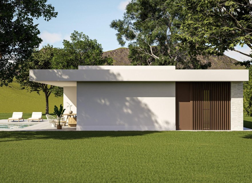 Obra nueva - Villa - Pinoso - Lel