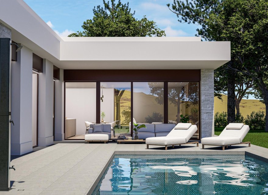 Obra nueva - Villa - Pinoso - Lel