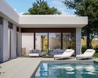 Obra nueva - Villa - Pinoso - Lel