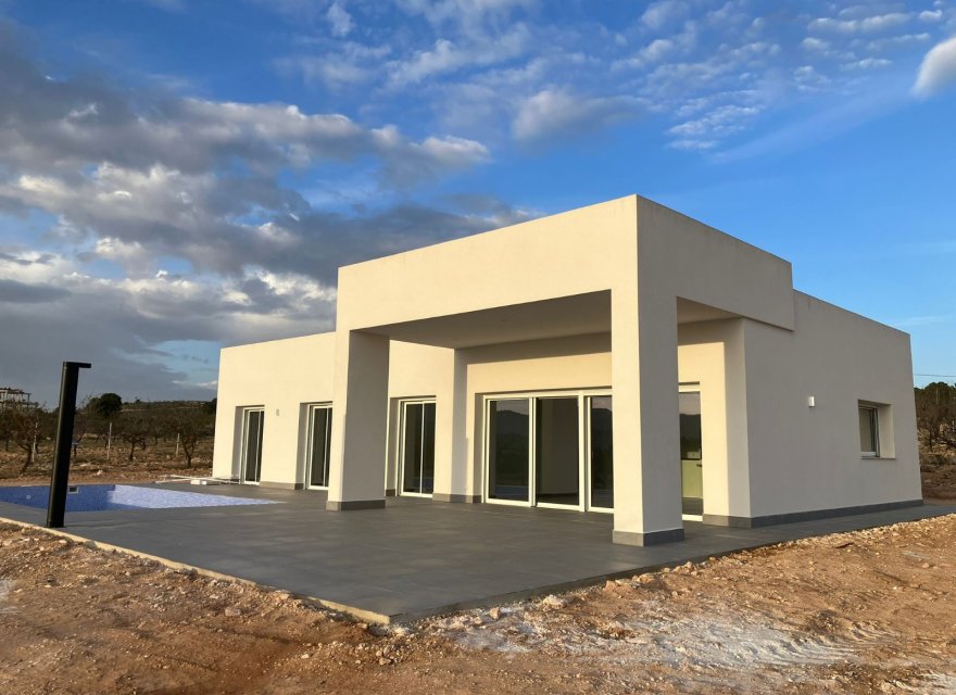 Obra nueva - Villa - Pinoso