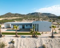 Obra nueva - Villa - Pinoso