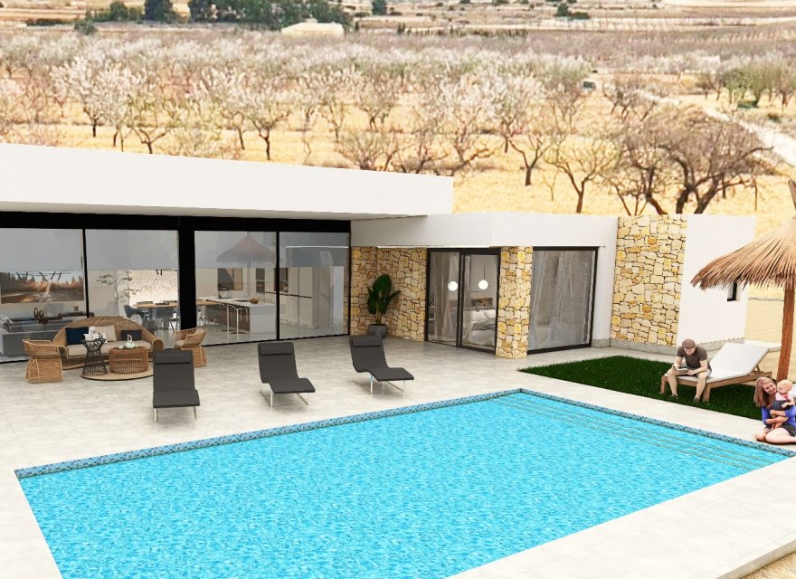 Obra nueva - Villa - Pinoso