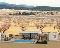 Obra nueva - Villa - Pinoso