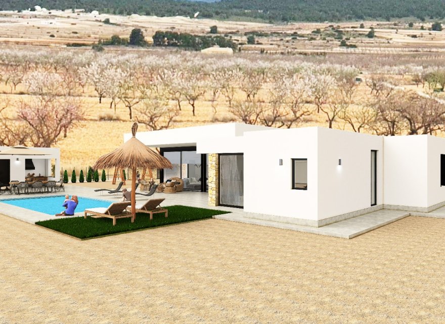 Obra nueva - Villa - Pinoso