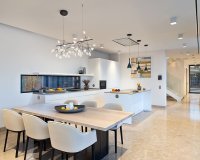 Obra nueva - Villa - Puig de Ros