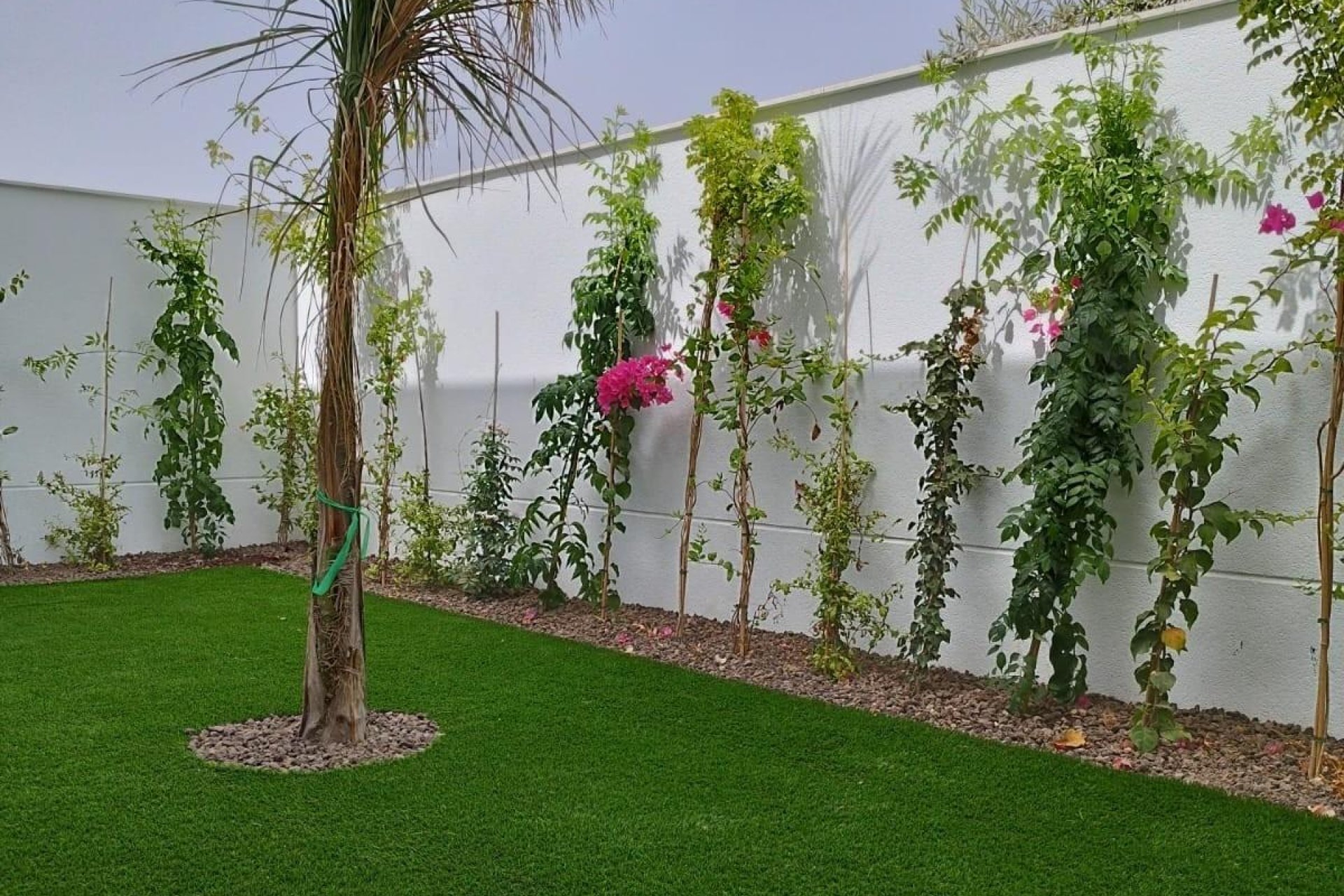 Obra nueva - Villa - San Javier - Parque del doce