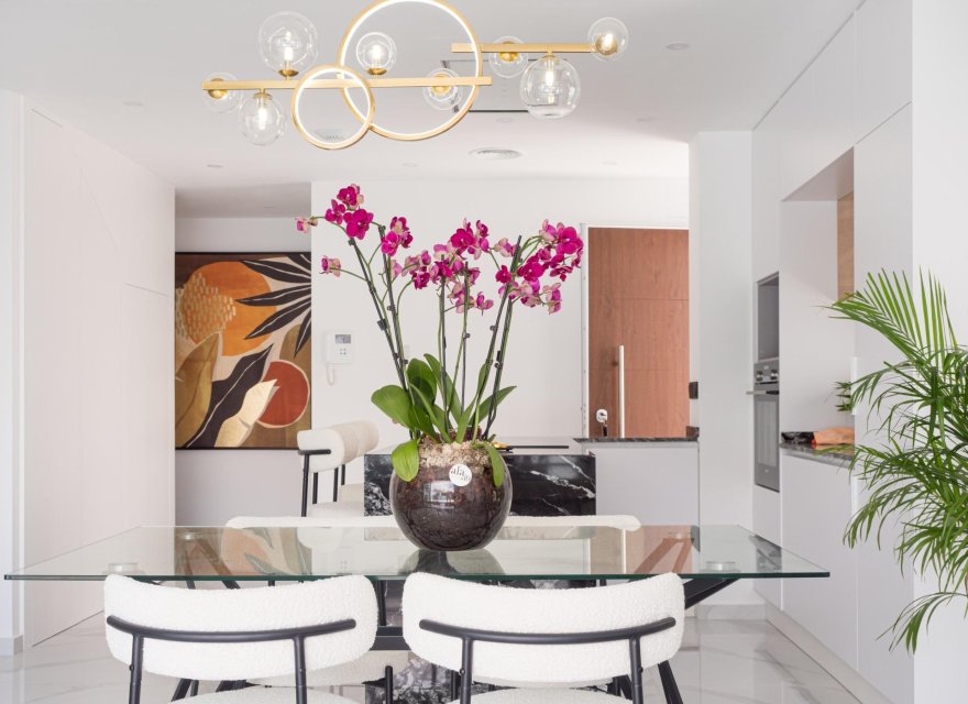 Obra nueva - Villa - San Pedro del Pinatar - San Pedro Del Pinatar